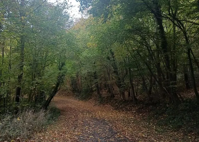 Au Bord Du De L'eau D'heure Froidchapelle